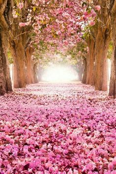 a painting of trees with pink flowers on the ground