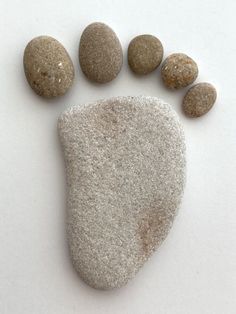 four rocks arranged in the shape of an animal's paw on a white surface