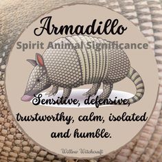 an armadillo sticker is shown on the back of a woven bag with words above it