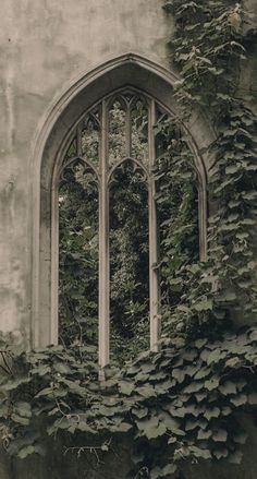 an old building with ivy growing on it's side and a window in the middle