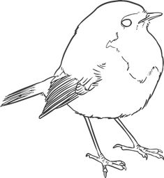 a black and white drawing of a small bird