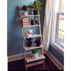 a wooden shelf with potted plants on it