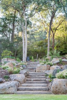 an image of a stone path in the woods with steps leading up to trees and bushes