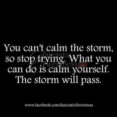 a quote that says you can't calm the storm, so stop trying what you can