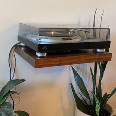 a record player sitting on top of a wooden shelf next to a potted plant