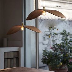 three lights are hanging from the ceiling in front of a table and potted plant