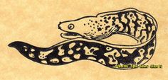 a drawing of a snake with spots on it's body and head, sitting on top of a piece of parchment paper