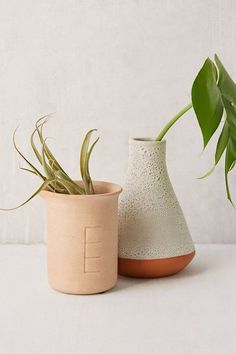 two ceramic vases with plants in them