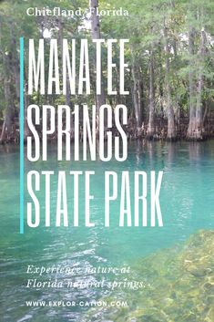 the blue water and trees are featured in this postcard for manatee springs state park