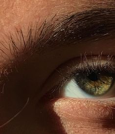 the eye of a person with brown hair and blue eyes