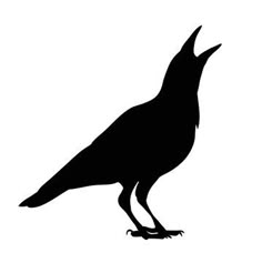 a black and white silhouette of a bird