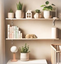 shelves with plants and books on them in a living room or dining room, against a neutral wall