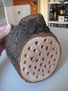 a person holding a piece of wood with holes in the center and on top of it