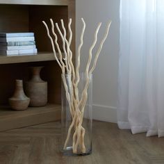 there is a vase with branches in it on the floor next to a book shelf