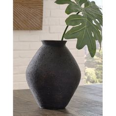 a black vase sitting on top of a wooden table next to a green leafy plant