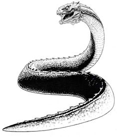 a black and white drawing of a snake