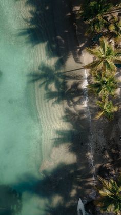 an aerial view of the beach and palm trees