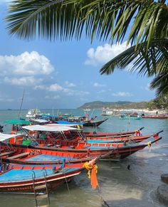 there are many boats docked at the beach