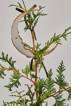 a close up of a tree with scissors stuck to it's branches and the moon in the background