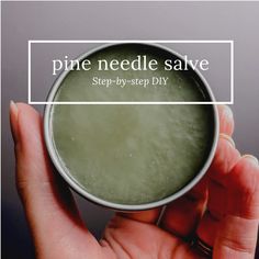 Making my own pine needle salve… Homemade Balms And Salves, Herb Remedies, Herbal Salve Recipes, Homemade Salve, Medicine Recipes, Pine Needle Crafts, Herbal Medicine Recipes, Witch Crafts, Diy Herbal Remedies