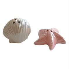 two seashells sitting next to each other on a white background