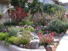 a garden with rocks and plants in front of a house