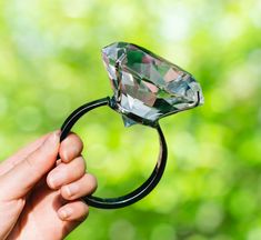 a person holding a ring with a diamond on it in front of some green leaves