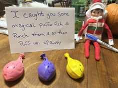 an elf is sitting next to some toys and a note that says i caught you some magic puffer fish