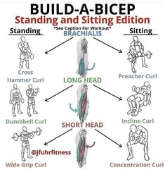 the diagram shows how to build a bicep and stand up for it's strength