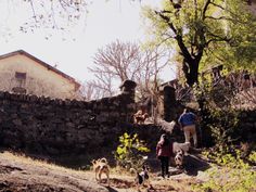 three people and two dogs are walking up the hill