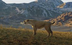 a large animal standing on top of a grass covered field next to a mountain range