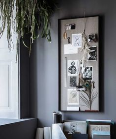 a plant hangs on the wall next to a framed photograph and other items in front of it