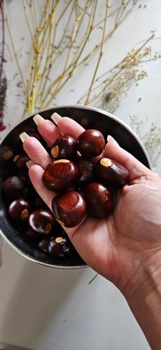 a person is holding some fruit in their hand