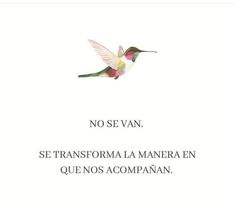 a hummingbird flying through the air with words written in spanish and english on it