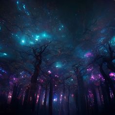 the sky is filled with colorful lights in this dark, surreal forest scene at night