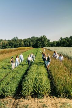 Zu Besuch bei Dr. Hauschka: Tauche mit uns in die Heilpflanzengärten und Produktion der wunderbaren Naturkosmetikmarke ein – Hey Pretty Travels