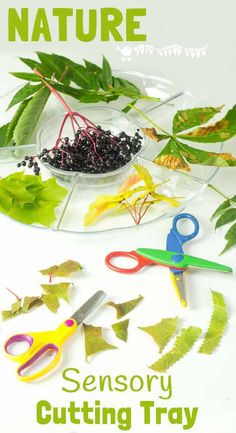 scissors and leaves on a plate with text that reads, nature sensory cutting tray