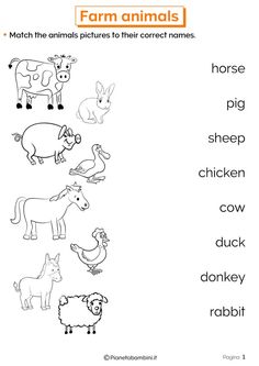 farm animals worksheet for kids