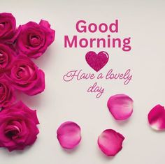 pink roses and petals with the words good morning have a lovely day written on it