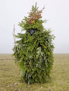 a man made out of plants in the middle of a field