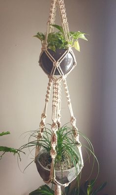 a hanging planter with plants in it