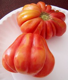 two pieces of tomato sitting on top of a white plate