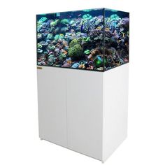 an aquarium with many different types of corals and algaes on it's sides