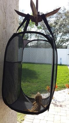 a bird in a cage hanging from the side of a wall next to a yard