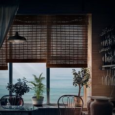 a dining room table with two chairs and a potted plant in front of the window