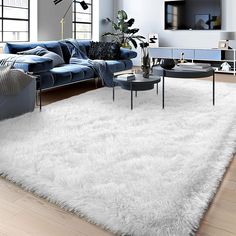 a living room filled with furniture and a white rug