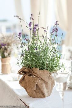 lavender flowers in a burlocked vase on a table