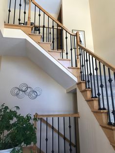 a stair case with wrought iron railing and handrails, along with a potted plant