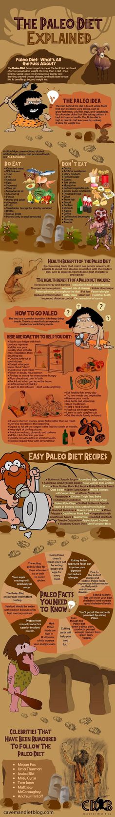 The Paleo Diet Explained - Fantastic infographic full of information about the Paleo diet - perfect for beginners #paleodietforbeginners #paleodiet #paleodietexplained #paleotips: Paleo Basics, Starting Paleo Diet, Paleo Guide, Paleo Diet For Beginners, Paleo For Beginners, Paleo On The Go, Paleo Diet Plan, Paleo Life, Paleo Foods