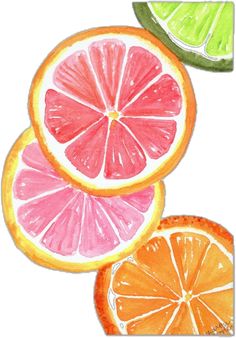 three slices of watermelon, lime and grapefruit on a white background